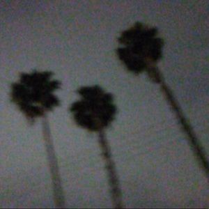 Meet your Posher, Daisy